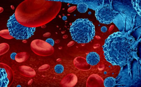 Short Questions for Leukemia (Medical Lab Technology) Students