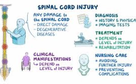 Topic Spinal Care in transport of injured Patient 