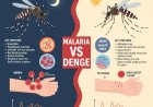 Malaria Disease: Causes, Symptoms, Treatment, and Prevention
