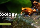 What Is Zoology? A Complete Guide for Students