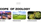 Scope of Zoology