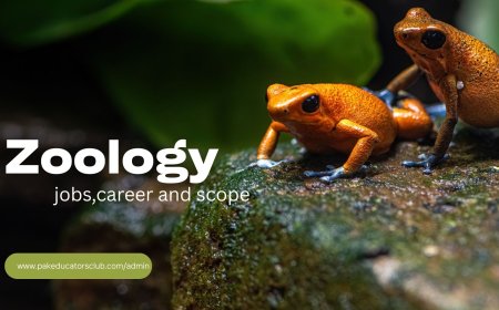 What Is Zoology? A Complete Guide for Students