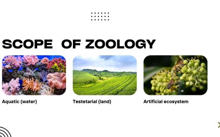 Scope of Zoology